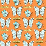 Sketch butterfly and caterpillar in vintage style