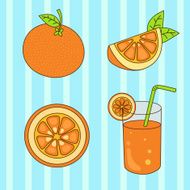 Set of Orange Fruit N2