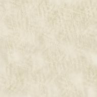 Grunge abstract background N605