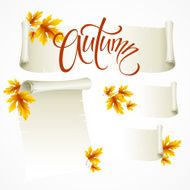 Vector illustration - scroll frame from autumn leaves