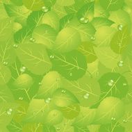 Green leaf seamless pattern N2