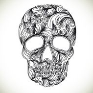 Vector illustration with Hand Drawn Skull N8