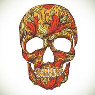 Vector illustration with Hand Drawn Skull N12