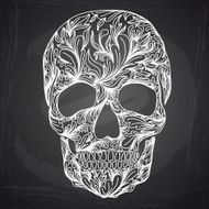Vector illustration with Hand Drawn Skull N13