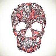 Vector illustration with Hand Drawn Skull N15