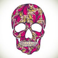 Vector illustration with Hand Drawn Skull N16