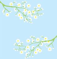 spring N40