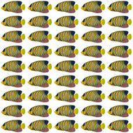 Regal Angelfish Pattern N2