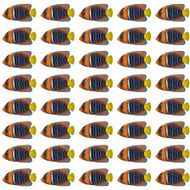 Passer Angelfish pattern N2