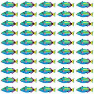 Halfmoon Triggerfish pattern N2
