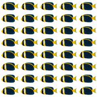 Scribbled angelfish pattern N2