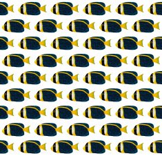 Scribbled angelfish pattern