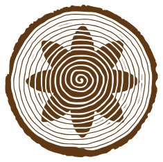Tree rings in the form of a flower trunk