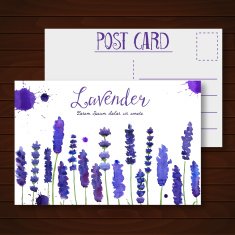 Vector greeting card with watercolor lavender