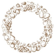 Round Frame of Fruits