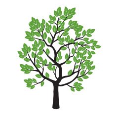 Tree and Green Leafs Vector Illustration N3