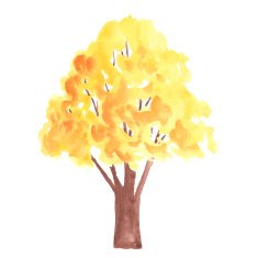 Watercolor autumn trees