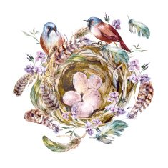 Watercolor floral vintage greeting card with birds nests and feathers