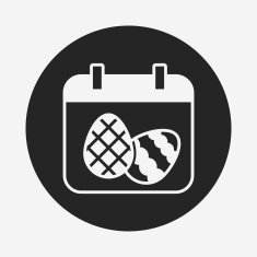 Easter Egg Icon N127
