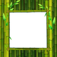 Frame N113