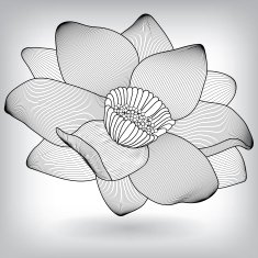 Floral Water Lily Elements for design N3