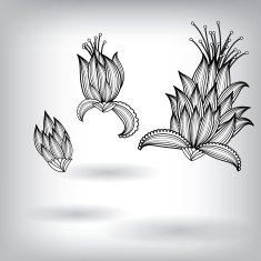 Hand Drawn Floral Elements for Design