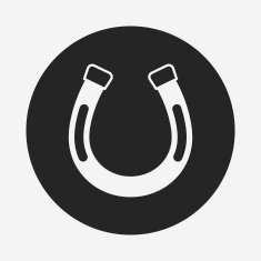 saddle icon N2