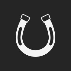 saddle icon N3
