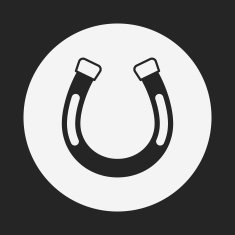 saddle icon N4