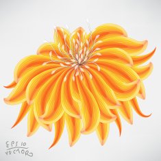 Floral Elements for design N5