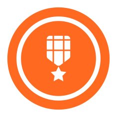 Star Badge N2