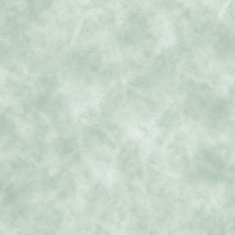 Grunge abstract background N290