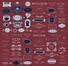 Set of calligraphic elements for design N49