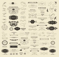 Set of calligraphic elements for design N56