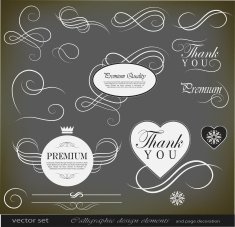 Calligraphic Design Elements N14