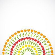 Floral Background with Tulips Vector Illustration N2