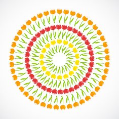 Floral Background with Tulips Vector Illustration N4