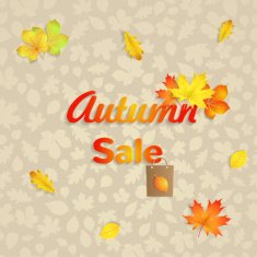 Autumn sale background N6