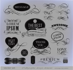 Calligraphic Design Elements N22