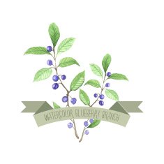 Berry branch watercolor vector handpainted set N3