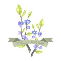 Berry branch watercolor vector handpainted set N4