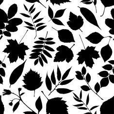 Vector autumn leaves collection N2