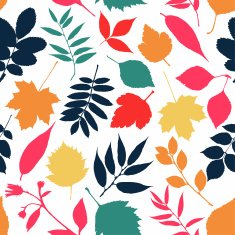 Vector autumn leaves collection N3