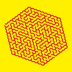 unique hexagon labyrinth N2
