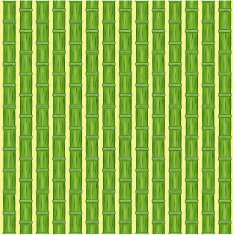 Bamboo N10