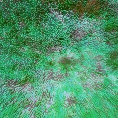 Grunge abstract background N376
