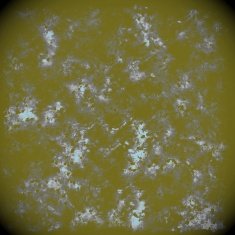 Grunge abstract background N424