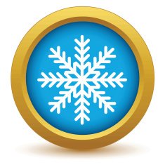 Gold snowflake icon