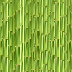 Green bamboo seamless texture