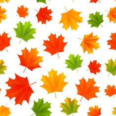 Seamless pattern with autumn leaves N32